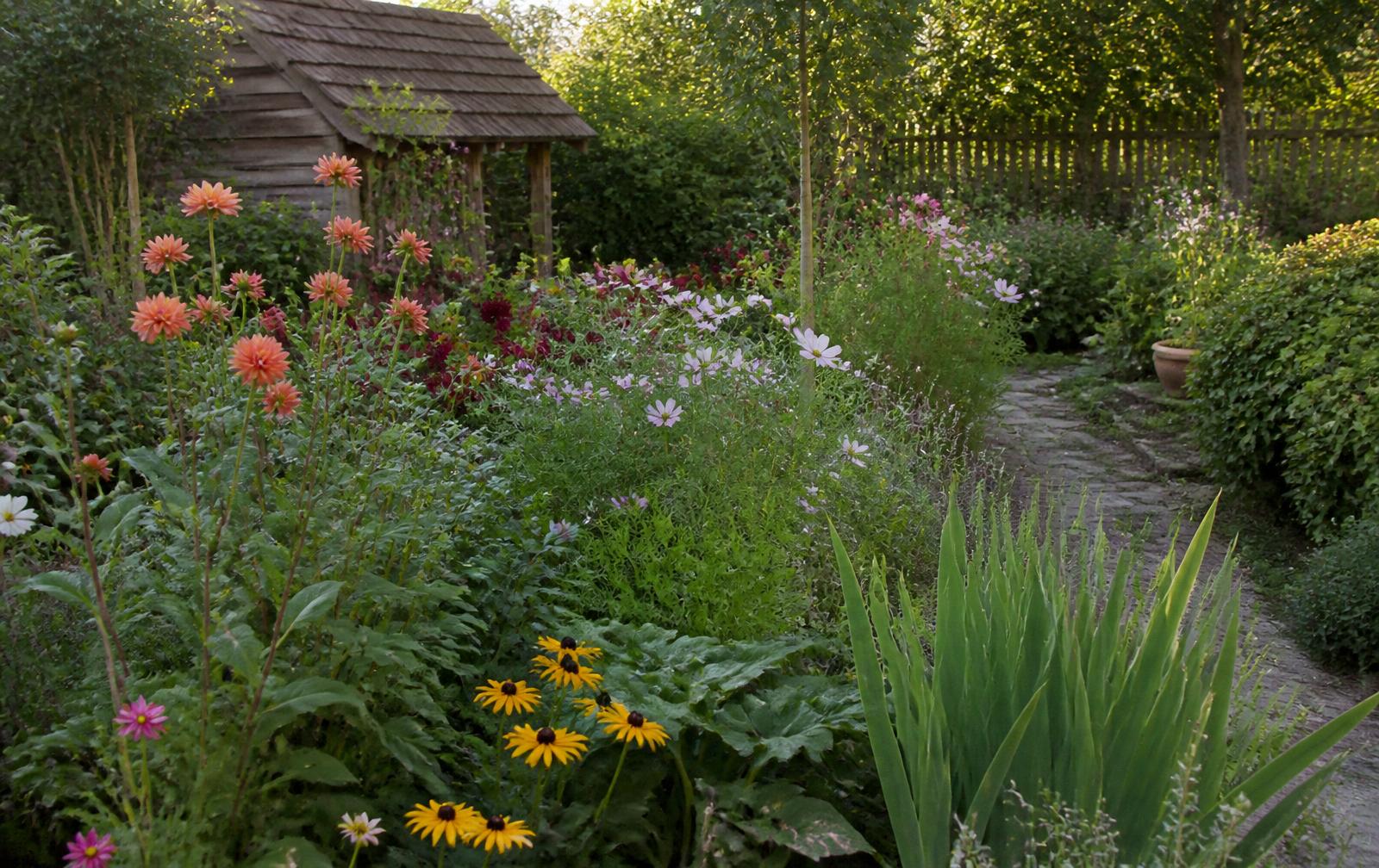 A thriving family garden with flowers at many stages of growth